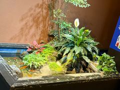 -隐炉和牛烧肉店(群力店)