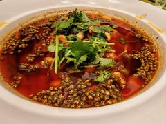 -院8里·小聚园老川菜(九眼桥店)