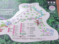 -野象谷景区