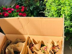 -金陵花卉交易市场