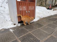 -终南山南五台景区