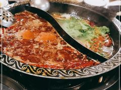 -小志家.鲜牦牛肉牛杂火锅野生菌汤锅