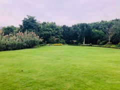 -五缘湾湿地公园