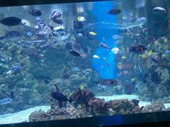 -烟台海昌鲸鲨海洋公园