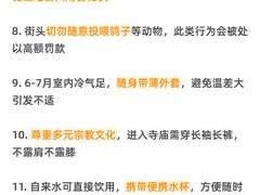 -圣淘沙天际线斜坡滑车