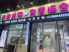 -青奢宠物·青奢猫舍