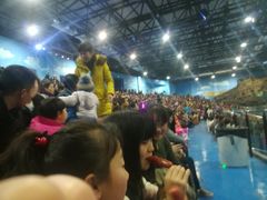 -华夏文旅海洋公园