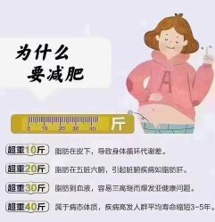 -香薇妮丝·定制减肥·身材管理