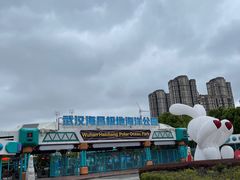 -海合安武汉极地海洋公园