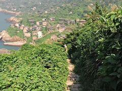 -枸杞岛