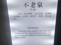 -黄山温泉国际旅游度假区