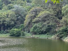 -火炉山森林公园