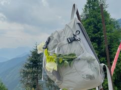 -萍乡武功山风景名胜区