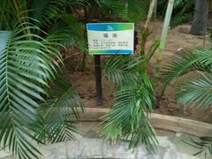 -龙达温泉生态城