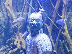 -华夏文旅海洋公园