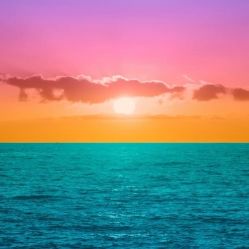 -薇兰专业脱毛连锁机构