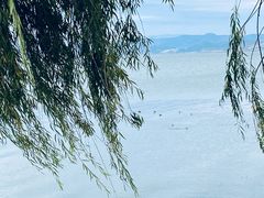 -洱海月湿地公园