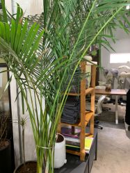 -M+hair salon专业造型沙龙