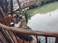 -长鹿旅游休博园