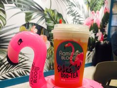 -Flamingo Bloom(TST /尖沙咀店)