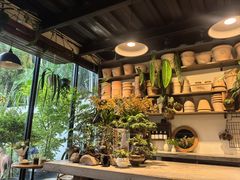 -自由生长植物工作室(深港花卉中心店)