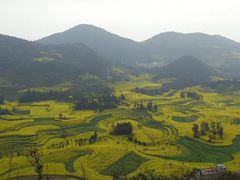-牛街螺丝田