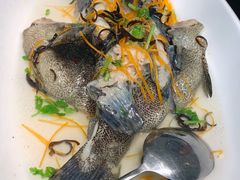 清蒸龙趸鱼-开海·红岛海鲜虾水饺(石老人店)