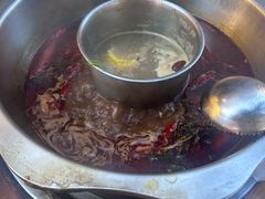 -金鼎雪山牦牛杂火锅(理县总店)