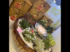 -九秋茶铺(三里屯店)