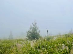 -灵山