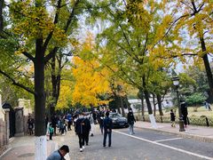 -八大关景区