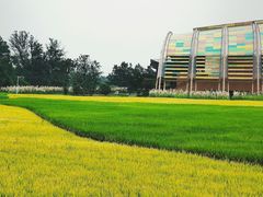 -中国天府农业博览园