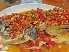 -全乐鱼馆·淳牌有机鱼直营店
