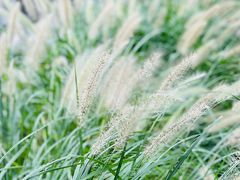 -前小桔亲子创意农场·草莓采摘·露营烧烤