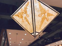 -云海肴·汽锅鸡·云南代表菜(美罗城店)