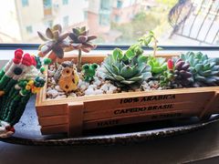 -五峰书院(南洋泾路店)