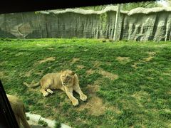 -北京野生动物园