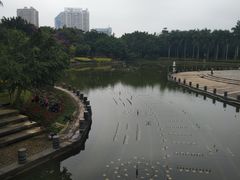 -南宁南湖公园