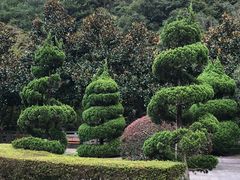 -宁波五龙潭景区