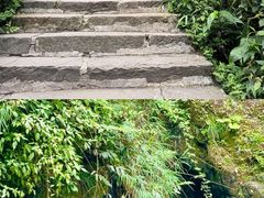 -峨眉山报国寺