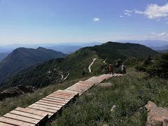 -白草畔自然风景区