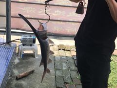 -鸿渡渔庄·特色鸭咀鱼