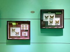 -上海昆虫博物馆