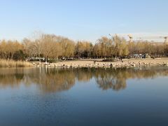 -大兴滨河森林公园