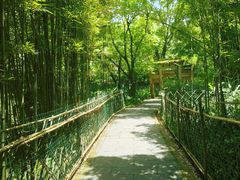 -峨眉山报国寺