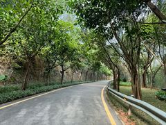 -小南山公园