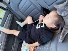 -糯米喵星人总部直营旗舰店·猫舍·幼猫出售