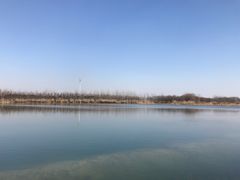 -溱湖国家湿地公园