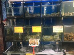 -蚝专家(北滘店)