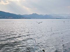 -海埂大坝